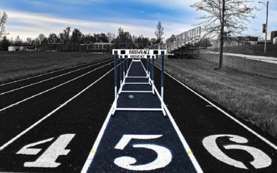 Rapporto annuale 2024 attività UIBM